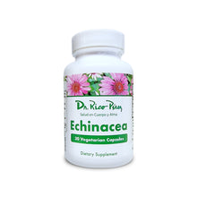 Load image into Gallery viewer, Echinacea