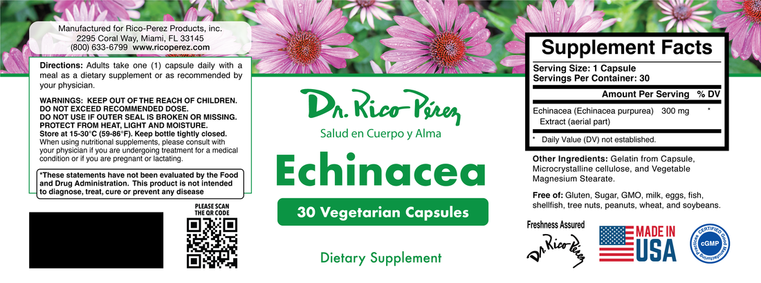 Natural Defenses with Echinacea