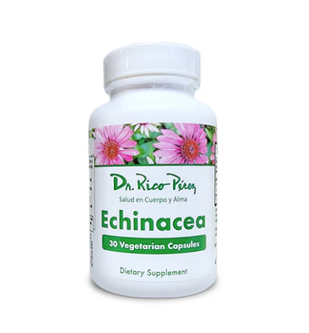 Top 5 Reasons You Should Take Echinacea