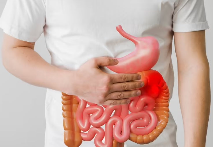 Desbloqueando el bienestar: la importancia de la salud digestiva