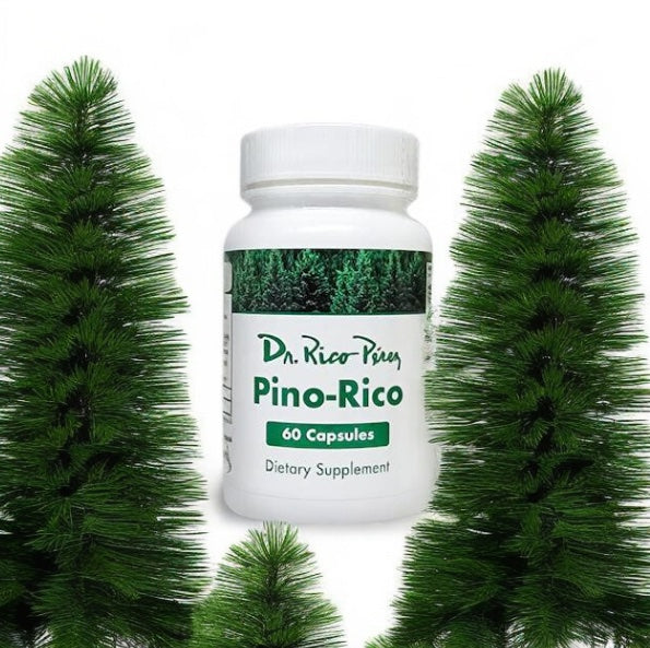 The Power of Pine: Harnessing the Power of Pino Rico for Optimal Health